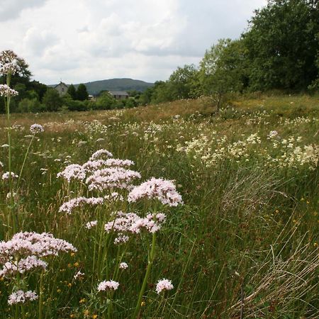 Snowdonia Shepherds' Huts Конві Екстер'єр фото